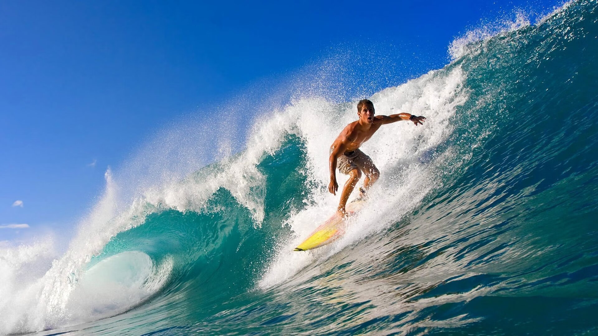 打造专业解说与评论的体育新闻空间，体育新闻术语